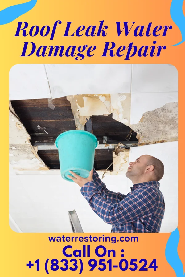 Roof Leak Water Damage Repair in Creswell, NC